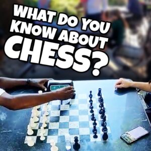 I Pretend To Be A Chess Beginner