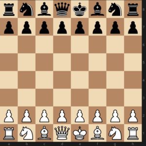 how the chess pieces move capture and their value