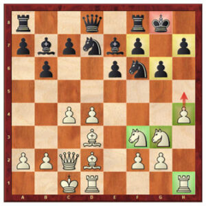 understanding chess with gm illia nyzhnyk attacking the king