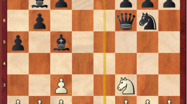 understanding chess with gm illia nyzhnyk king safety 2
