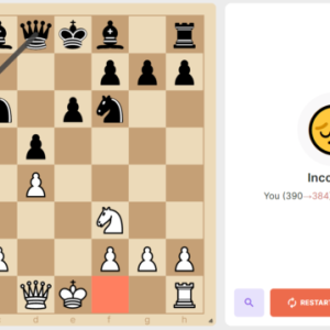 learn how to avoid blunders in chess