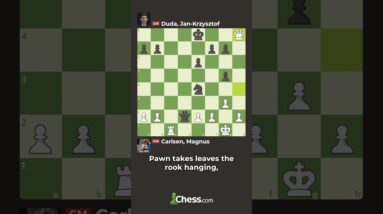 Magnus Carlsen Played The Chess Move Of The Year!
