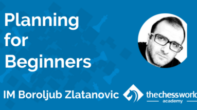 planning for beginners with im boroljub zlatanovic tcw academy